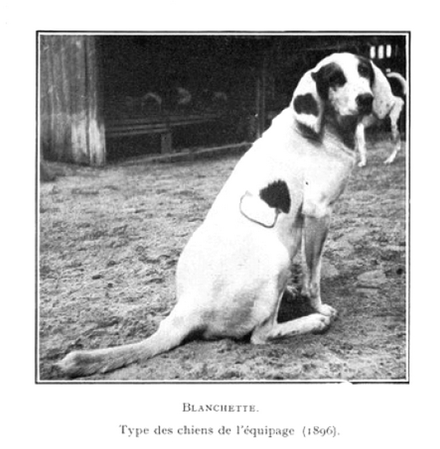 Tiré de l'ouvrage L'Equipage du marquis de Chambray par Maurice de Gasté (1926) -25